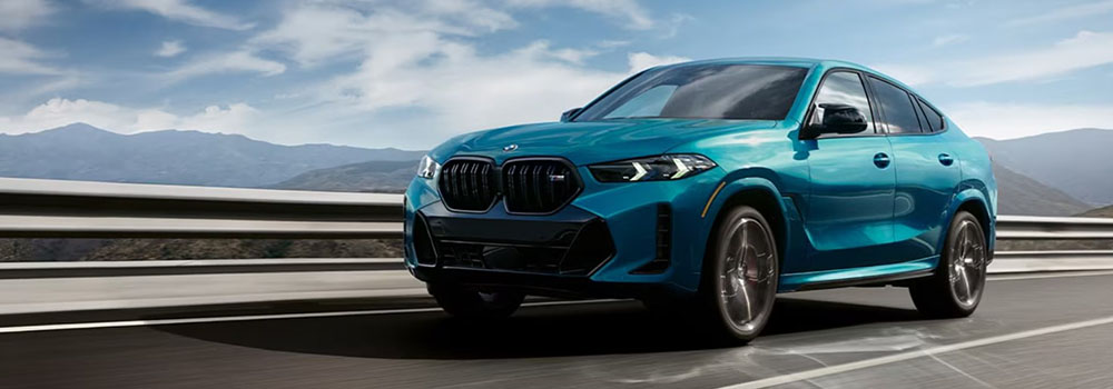 BMW X6 Model