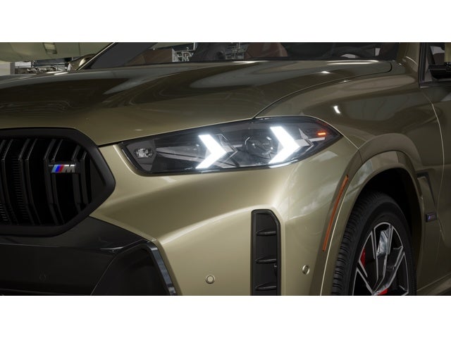 2027 BMW X6 M60i